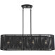 Acordia 4 Light 36 inch Black Linear Chandelier Ceiling Light, Large