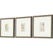 Florals Collection Green Framed Art