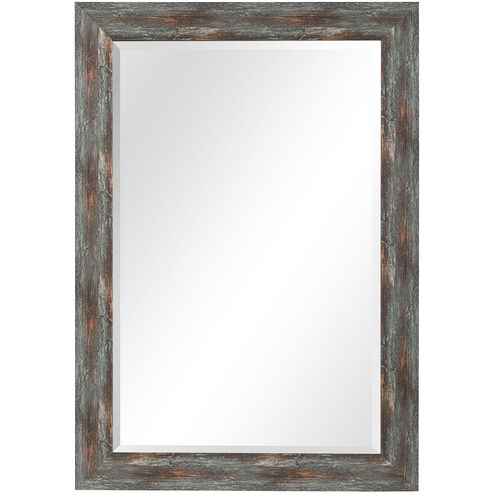 Owenby 40 X 28 inch Silver and Bronze Wall Mirror