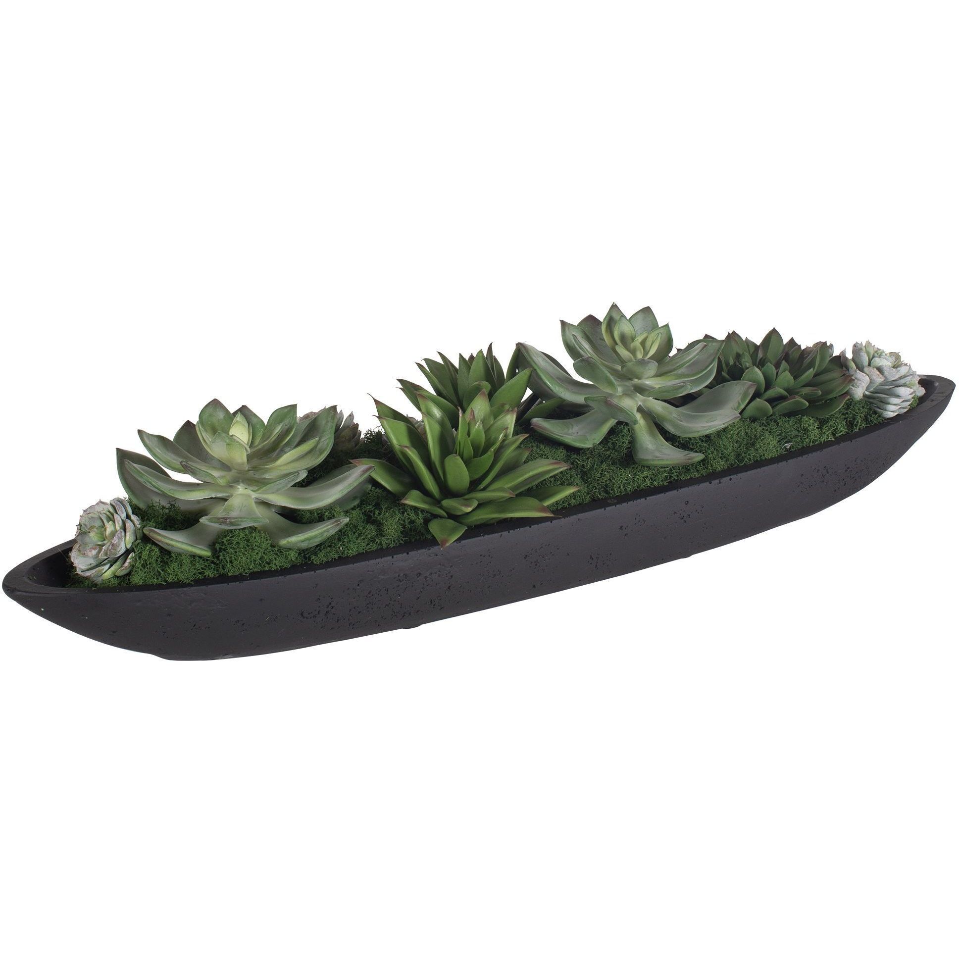 Verde Succulent Black and Green Centerpiece In Bowl
