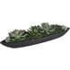 Verde Succulent Black and Green Centerpiece In Bowl