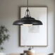 Palmetto Pendant Ceiling Light in Urban Bronze
