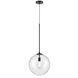 Delilah 1 Light 14 inch Black Pendant Ceiling Light in Clear