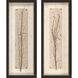 Naturals Collection Brown Framed Art