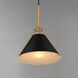 Lucas 1 Light 13.25 inch Black and Natural Aged Brass Single Pendant Ceiling Light