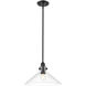 Dwyer 1 Light 15 inch Matte Black Pendant Ceiling Light