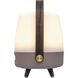 Lite Up Play Mini 11.75 X 7.5 inch Earth Light Brown Taupe Portable Speaker Lamp in Earth Light Brown/Taupe, Kooduu