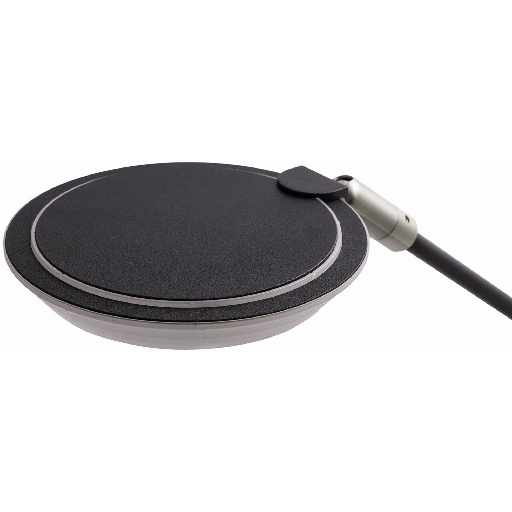 Iggy 22.8 inch 6 watt Black Desk Lamp Portable Light