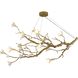 CC Series 18 Light 23.62 inch Brass Chandelier Ceiling Light