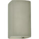 Ambiance Rectangle LED 9.5 inch Celadon Green Crackle Outdoor Wall Sconce, Small