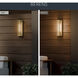 Berens 1 Light 20 inch Natural Brass Outdoor Wall Light