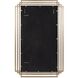 Bancroft 48 X 30 inch Metallic Gold Vanity Mirror