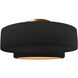 Radiance LED 14.5 inch Carbon Matte Black and Champagne Gold and Brushed Brass Semi Flush Ceiling Light