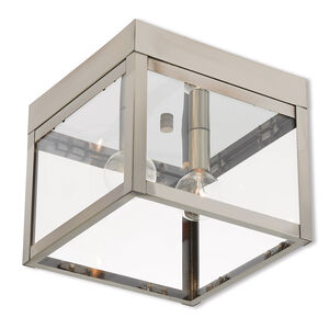 Nyack 2 Light 8.00 inch Outdoor Ceiling Light