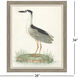 Black Crowned Heron Blue and Green and Multi Framed Art, Propac