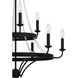 Adelaide 9 Light 30 inch Matte Black Chandelier Ceiling Light