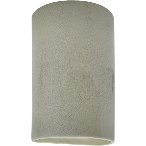 Ambiance Collection LED 12.5 inch Celadon Green Crackle Outdoor Wall Sconce