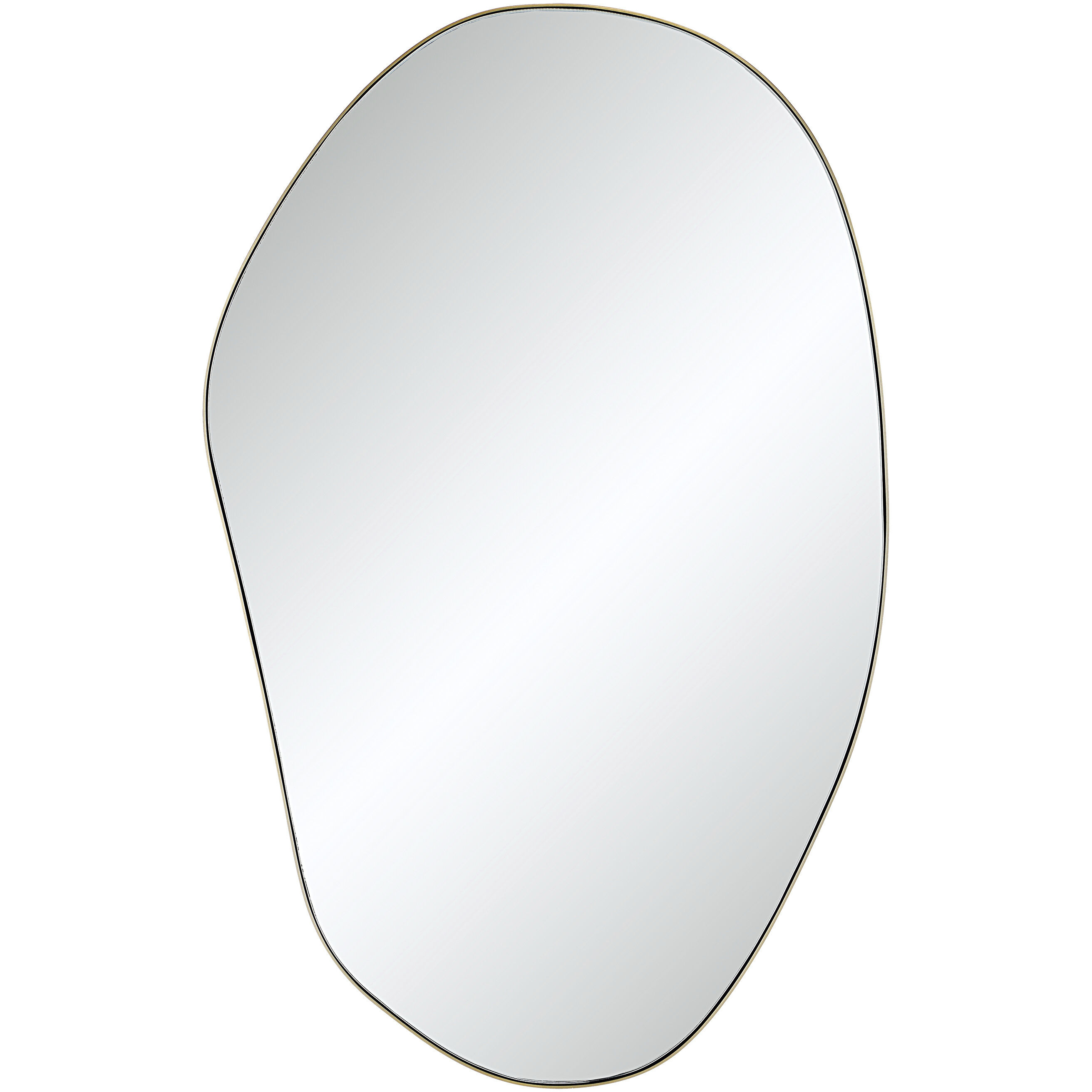 Gatella 36 X 23 inch Champagne Wall Mirror