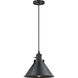 Franklin Restoration Briarcliff LED 10 inch Matte Black Mini Pendant Ceiling Light