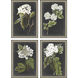 Florals Black and Green and White Framed Art