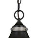 Sheffield 1 Light 10 inch New Bronze and Distressed Ash with Light Silver Pendant Ceiling Light