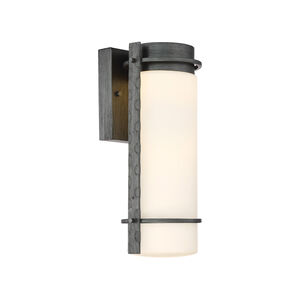 Aldridge LED 14 inch Weathered Iron Outdoor Wall Lantern