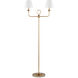 Nottaway 65 inch 60.00 watt Brass Floor Lamp Portable Light