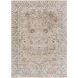 Carlisle 93 X 63 inch Taupe Rug, Rectangle