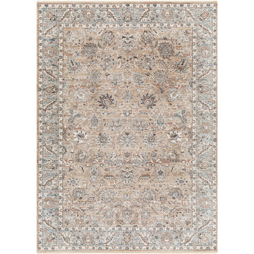 Carlisle 87 X 35 inch Taupe Rug, Runner