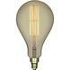 Lumos Incandescent PS52 Medium E26 60 watt 120V 2200K Light Bulb