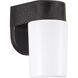 Outdoor Wall 1 Light 7.5 inch Black Outdoor Wall Lantern