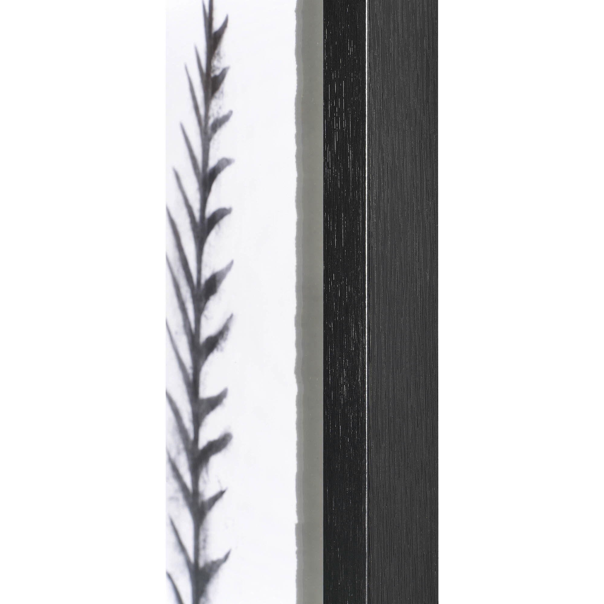 Elmdale Black Wall Art, Set of 3