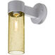 Juni 10 1 Light 12 inch Silver Outdoor Sconce