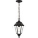 Bakersville 1 Light 7.88 inch Black Outdoor Pendant