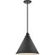 Arti 1 Light 15 inch Black Pendant Ceiling Light