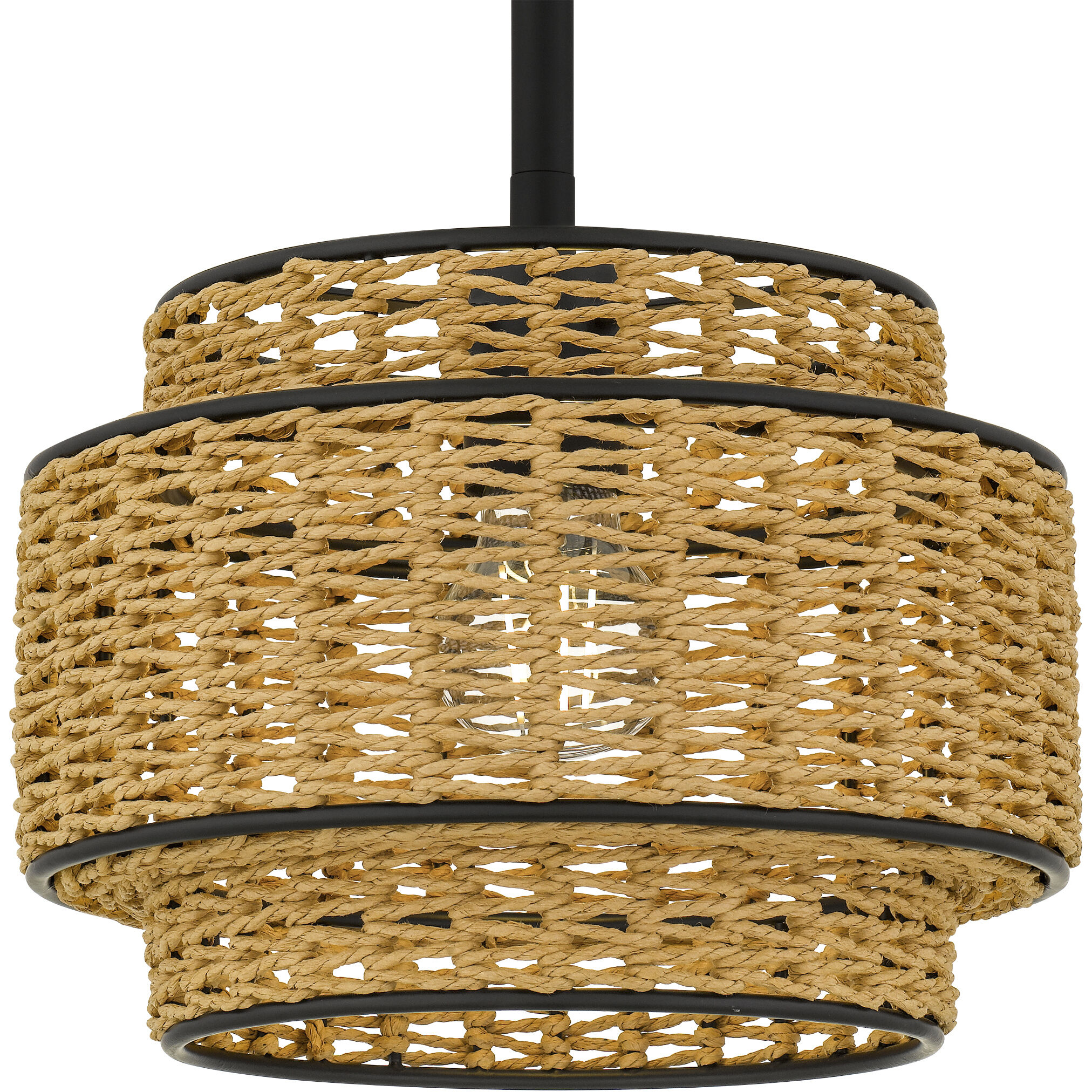 Teton 1 Light 10 inch Matte Black Mini Pendant Ceiling Light