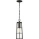 Helix 1 Light 6 inch Black Outdoor Chain Mount Ceiling Fixture