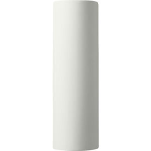 Ambiance Tube LED 17 inch Matte White Outdoor Wall Sconce in 1000 Lm LED