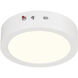 Slim LED 7 inch White Flush Mount Ceiling Light