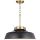 Oakwood 1 Light 18 inch Matte Black Pendant Ceiling Light