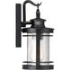 Booker 1 Light 12 inch Mystic Black Wall Lantern