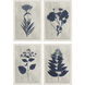 Pressed Flower Blue and White Framed Art