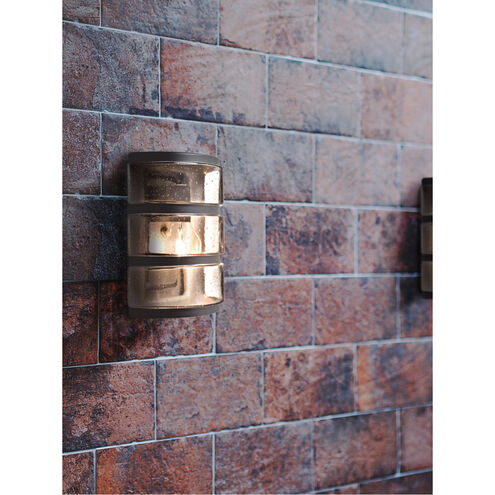 Aqua 1 Light 10 inch Bronze Outdoor Wall Sconce