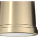 Capshaw 1 Light 7 inch Alturas Gold Pendant Ceiling Light