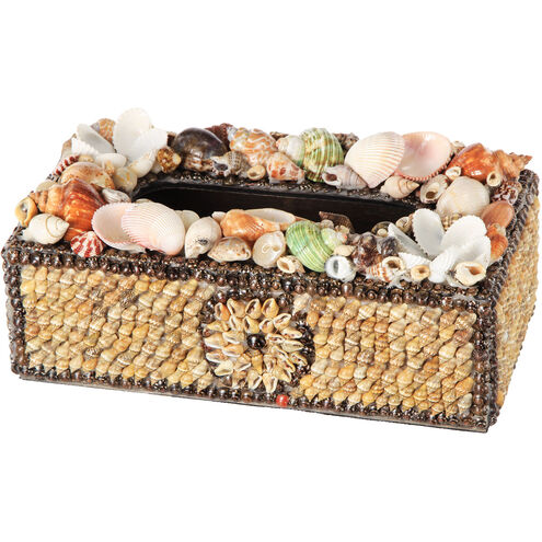 Natural Shell 10 X 5 inch Brown/Multi-Color Decorative Box