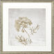 Delicate Beauty Gray and Beige and Green and Neutral Framed Art