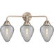 Nouveau 2 Geneseo 3 Light 24.50 inch Bathroom Vanity Light