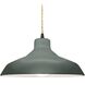 Radiance 1 Light 15.5 inch Pewter Green and Matte Black Pendant Ceiling Light