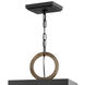 Open Air Porter LED 12 inch Black with Burnished Bronze Outdoor Hanging, Estate Series
