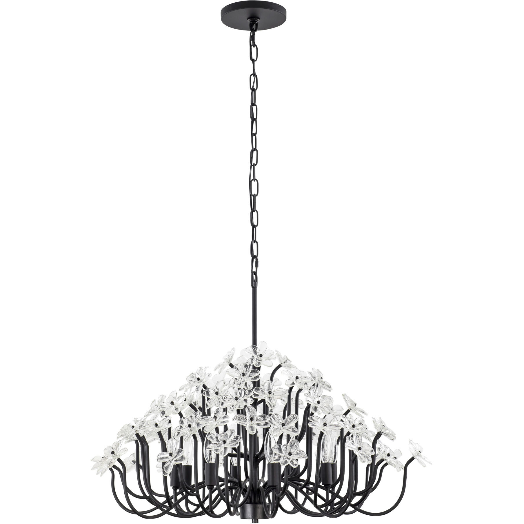 Wildflower 8 Light 32 inch Matte Black Chandelier Ceiling Light, Smithsonian Collaboration